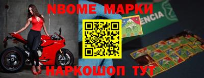шишки Новодвинск