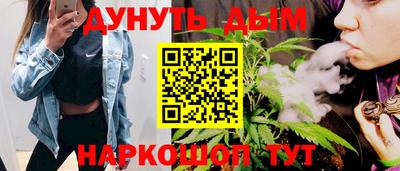 шишки Новодвинск