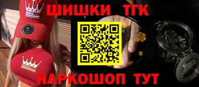 шишки Новодвинск