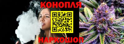 шишки Новодвинск