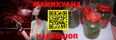 шишки Новодвинск