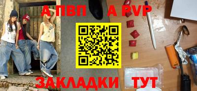 шишки Новодвинск