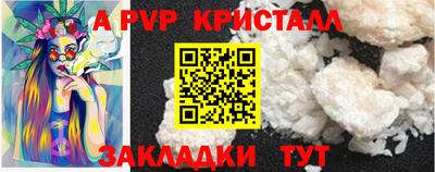 шишки Новодвинск