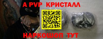 шишки Новодвинск