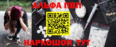 шишки Новодвинск