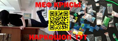 шишки Новодвинск