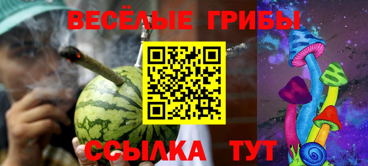 Тавда  Псилоцибиновые грибы Psilocybine cubensis  Вход с VPN 